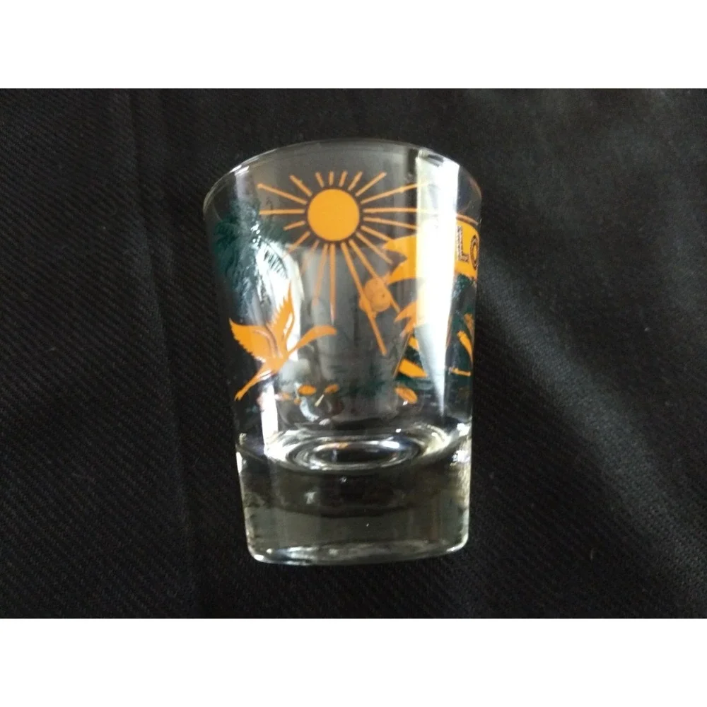 Florida Souvenir Shot Glasses Vtg Carrib Set of 4 Original Box Marlin Sunshine